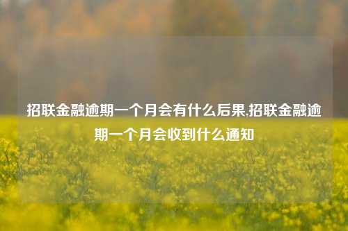 招联金融逾期一个月会有什么后果,招联金融逾期一个月会收到什么通知