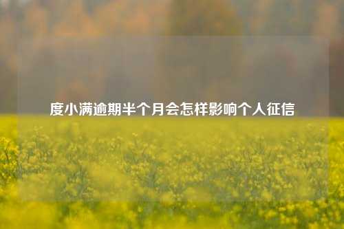 度小满逾期半个月会怎样影响个人征信