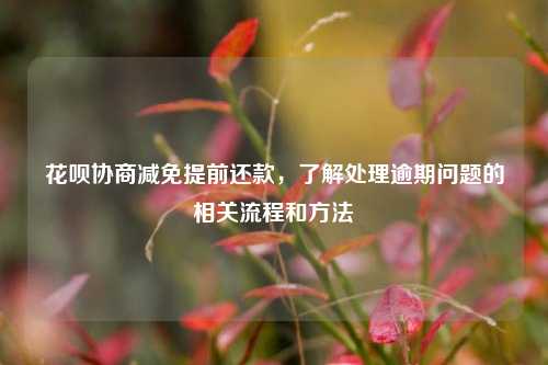 花呗协商减免提前还款，了解处理逾期问题的相关流程和方法