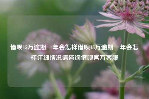 借呗15万逾期一年会怎样借呗15万逾期一年会怎样详细情况请咨询借呗官方客服