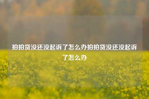 拍拍贷没还没起诉了怎么办拍拍贷没还没起诉了怎么办