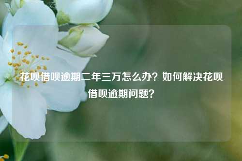 花呗借呗逾期二年三万怎么办？如何解决花呗借呗逾期问题？