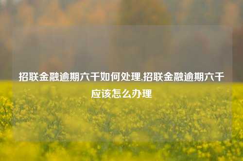 招联金融逾期六千如何处理,招联金融逾期六千应该怎么办理