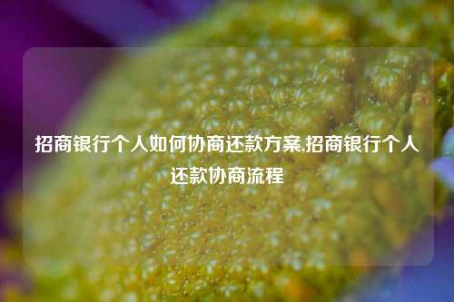 招商银行个人如何协商还款方案,招商银行个人还款协商流程