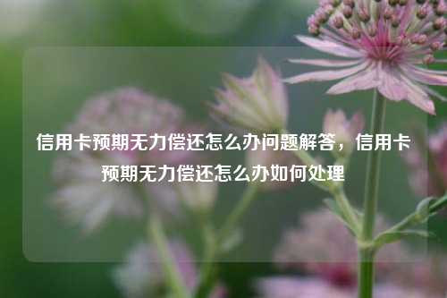 信用卡预期无力偿还怎么办问题解答，信用卡预期无力偿还怎么办如何处理