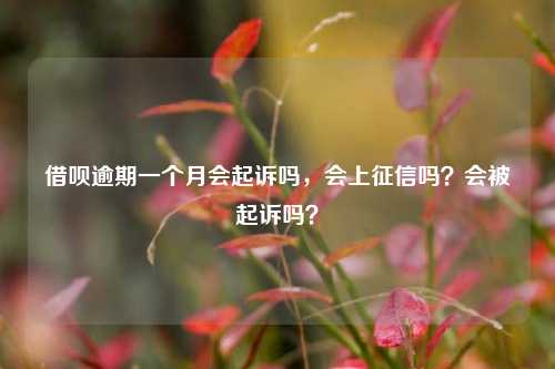 借呗逾期一个月会起诉吗，会上征信吗？会被起诉吗？