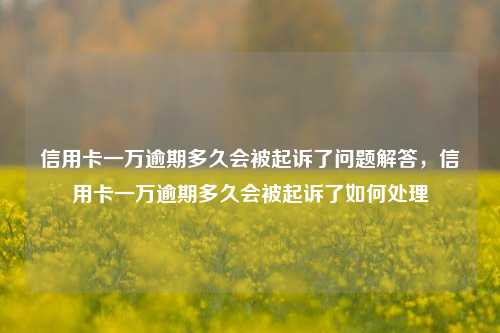 信用卡一万逾期多久会被起诉了问题解答，信用卡一万逾期多久会被起诉了如何处理