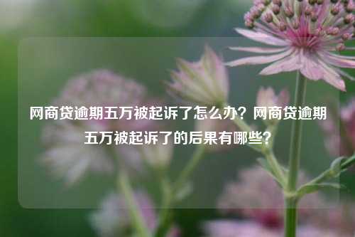 网商贷逾期五万被起诉了怎么办？网商贷逾期五万被起诉了的后果有哪些？