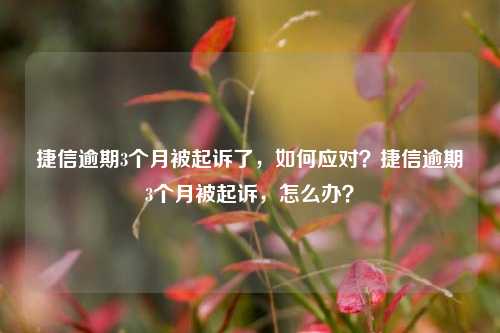 捷信逾期3个月被起诉了，如何应对？捷信逾期3个月被起诉，怎么办？