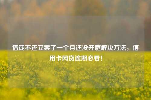 借钱不还立案了一个月还没开庭解决方法，信用卡网贷逾期必看！