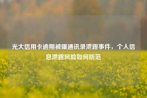 光大信用卡逾期被曝通讯录泄露事件，个人信息泄露风险如何防范