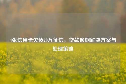 4张信用卡欠债20万征信，贷款逾期解决方案与处理策略