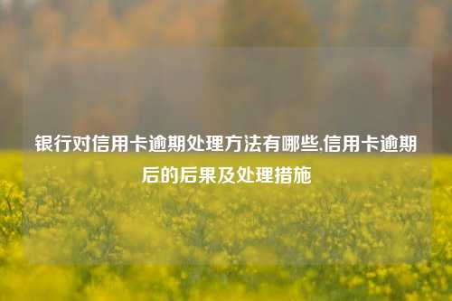 银行对信用卡逾期处理方法有哪些,信用卡逾期后的后果及处理措施