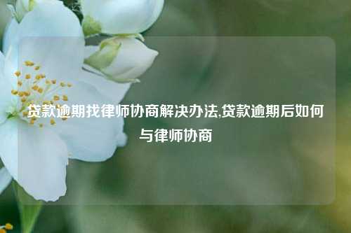 贷款逾期找律师协商解决办法,贷款逾期后如何与律师协商