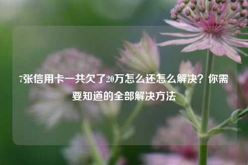 7张信用卡一共欠了20万怎么还怎么解决？你需要知道的全部解决方法