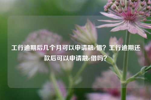 工行逾期后几个月可以申请融e借？工行逾期还款后可以申请融e借吗？