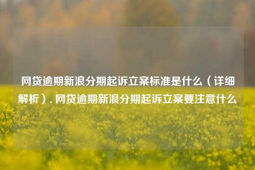 网贷逾期新浪分期起诉立案标准是什么（详细解析）, 网贷逾期新浪分期起诉立案要注意什么