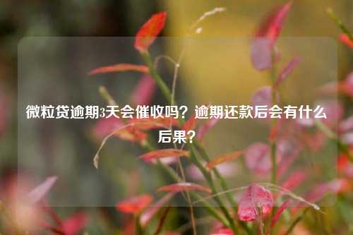 微粒贷逾期3天会催收吗？逾期还款后会有什么后果？