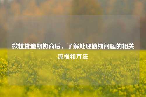 微粒贷逾期协商后，了解处理逾期问题的相关流程和方法