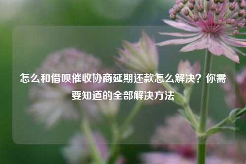 怎么和借呗催收协商延期还款怎么解决？你需要知道的全部解决方法