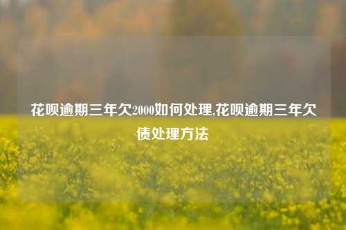 花呗逾期三年欠2000如何处理,花呗逾期三年欠债处理方法