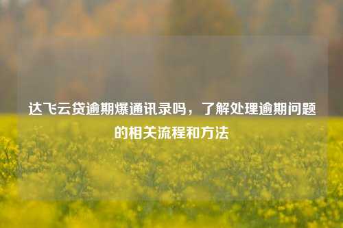 达飞云贷逾期爆通讯录吗，了解处理逾期问题的相关流程和方法