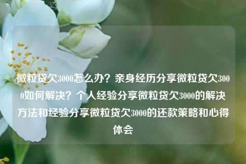 微粒贷欠3000怎么办？亲身经历分享微粒贷欠3000如何解决？个人经验分享微粒贷欠3000的解决方法和经验分享微粒贷欠3000的还款策略和心得体会