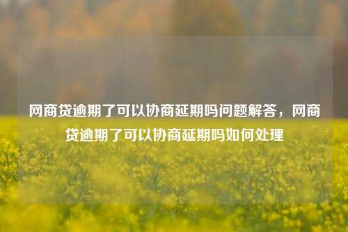 网商贷逾期了可以协商延期吗问题解答，网商贷逾期了可以协商延期吗如何处理