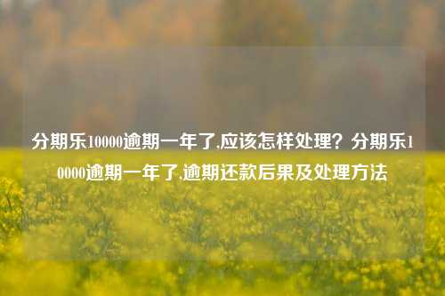 分期乐10000逾期一年了,应该怎样处理？分期乐10000逾期一年了,逾期还款后果及处理方法