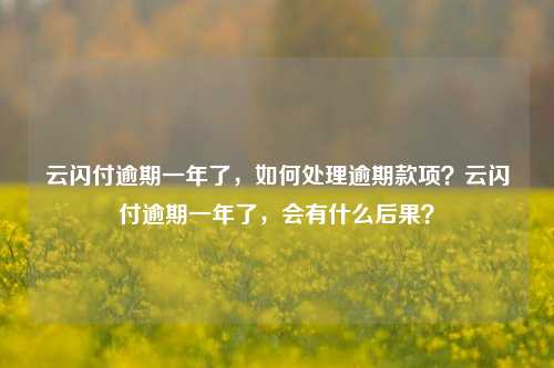 云闪付逾期一年了，如何处理逾期款项？云闪付逾期一年了，会有什么后果？