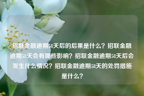 招联金融逾期58天后的后果是什么？招联金融逾期58天会有哪些影响？招联金融逾期58天后会发生什么情况？招联金融逾期58天的处罚措施是什么？