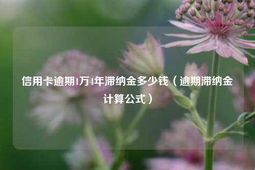 信用卡逾期1万4年滞纳金多少钱（逾期滞纳金计算公式）