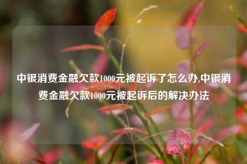 中银消费金融欠款1000元被起诉了怎么办,中银消费金融欠款1000元被起诉后的解决办法