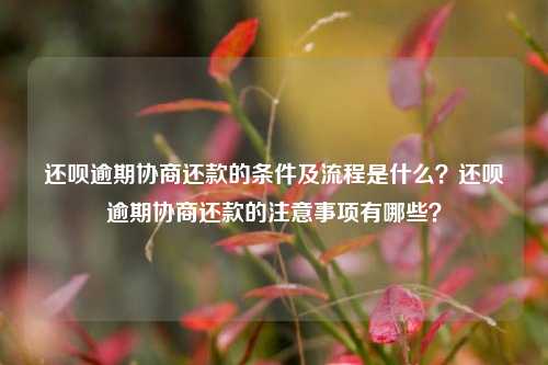 还呗逾期协商还款的条件及流程是什么？还呗逾期协商还款的注意事项有哪些？