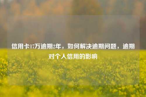 信用卡17万逾期2年，如何解决逾期问题，逾期对个人信用的影响