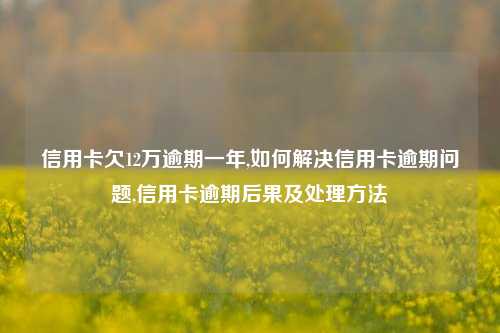 信用卡欠12万逾期一年,如何解决信用卡逾期问题,信用卡逾期后果及处理方法