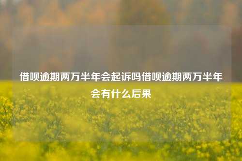 借呗逾期两万半年会起诉吗借呗逾期两万半年会有什么后果