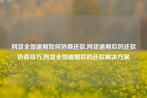 网贷全部逾期如何协商还款,网贷逾期后的还款协商技巧,网贷全部逾期后的还款解决方案