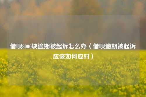 借呗8000块逾期被起诉怎么办（借呗逾期被起诉应该如何应对）