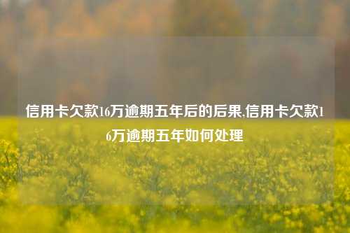 信用卡欠款16万逾期五年后的后果,信用卡欠款16万逾期五年如何处理