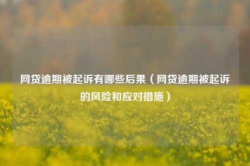 网贷逾期被起诉有哪些后果（网贷逾期被起诉的风险和应对措施）