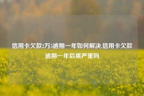 信用卡欠款2万5逾期一年如何解决,信用卡欠款逾期一年后果严重吗