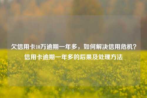 欠信用卡10万逾期一年多，如何解决信用危机？信用卡逾期一年多的后果及处理方法