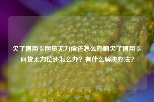 欠了信用卡网贷无力偿还怎么办啊欠了信用卡网贷无力偿还怎么办？有什么解决办法？