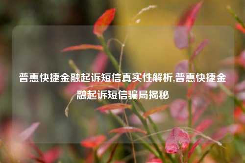 普惠快捷金融起诉短信真实性解析,普惠快捷金融起诉短信骗局揭秘