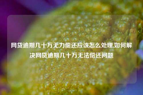 网贷逾期几十万无力偿还应该怎么处理,如何解决网贷逾期几十万无法偿还问题