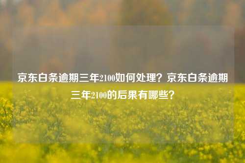 京东白条逾期三年2100如何处理？京东白条逾期三年2100的后果有哪些？