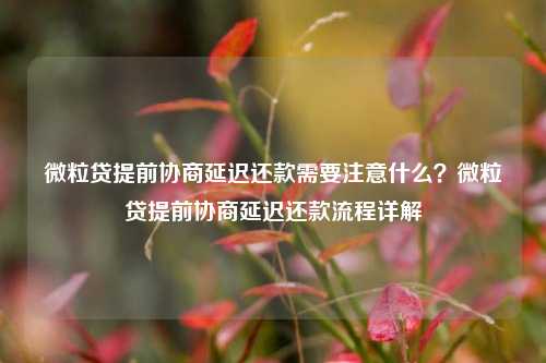 微粒贷提前协商延迟还款需要注意什么？微粒贷提前协商延迟还款流程详解