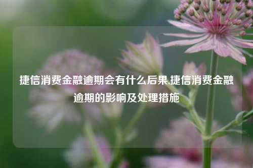 捷信消费金融逾期会有什么后果,捷信消费金融逾期的影响及处理措施