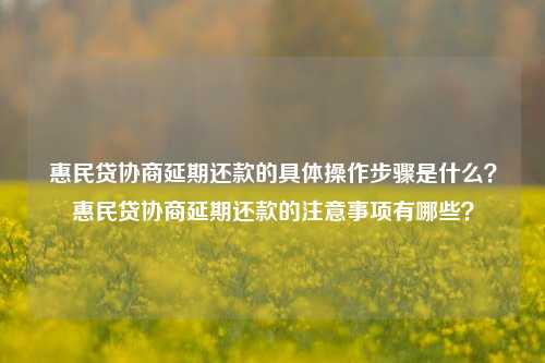 惠民贷协商延期还款的具体操作步骤是什么？惠民贷协商延期还款的注意事项有哪些？